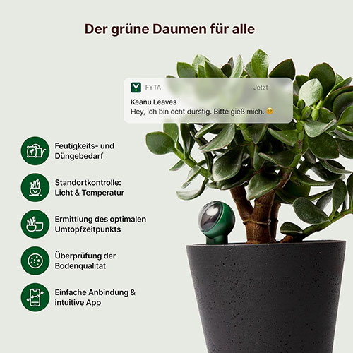 FYTA Beam | Der grüne Daumen für alle
