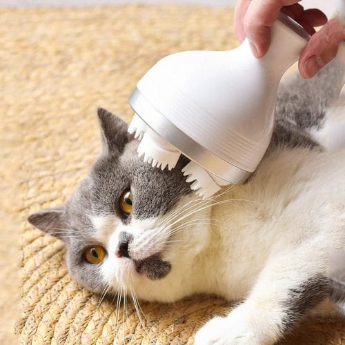 Katzen Massagegerät