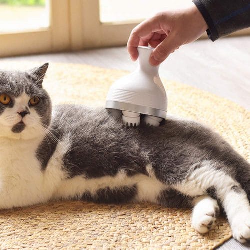 Katzen Massagegerät