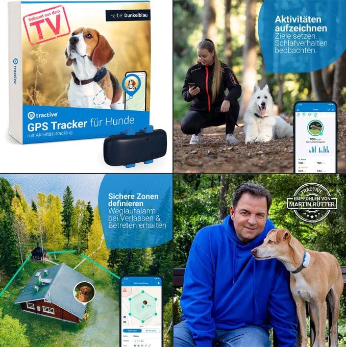Der Tractive GPS Hundetracker Empfehlung Rütter