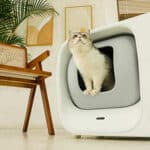 Furbulous: Revolutionäre Katzentoilette packt ihren eigenen Müllbeutel