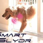 Mit SmartSlydr Schiebetüren & Fenster intelligent steuern
