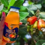 Akoua Cashew-Fruchtsaft – Voller Vitamin C und nachhaltig
