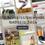 Die beliebtesten Hunde Gadgets 2024