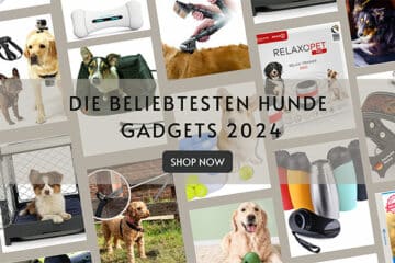 Die beliebtesten Hunde Gadgets 2024