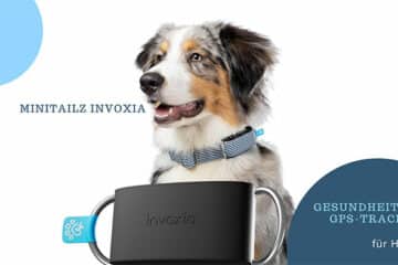 Hundegesundheit im Blick: Minitailz Invoxia