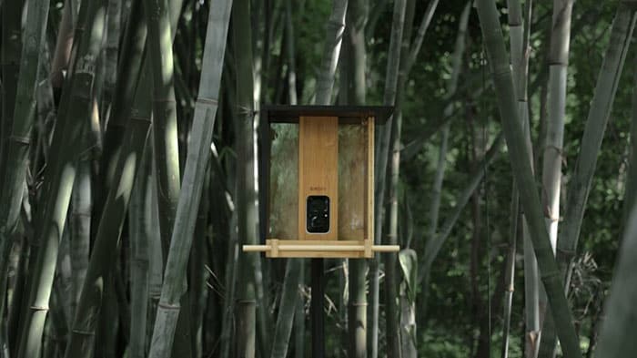 Dieses Vogelhäuschen ist mit KI ausgestattet und besteht aus Bambus!