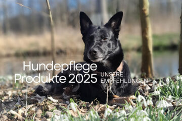 Hundepflege 2025 Tipps