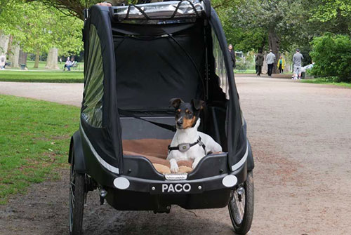 Individuell für Hunde konzipiert - Winther Kangaroo Dog