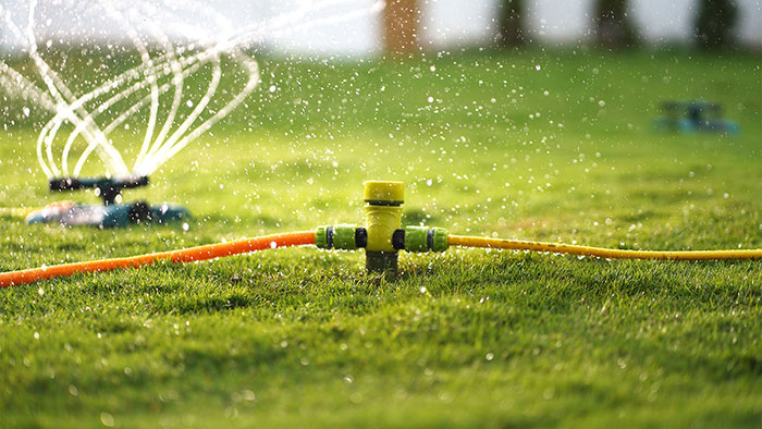Auro Wand: Warum intelligente Gartenbewässerung Sinn macht