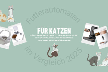 Futterautomaten für Katzen im Vergleich 2025