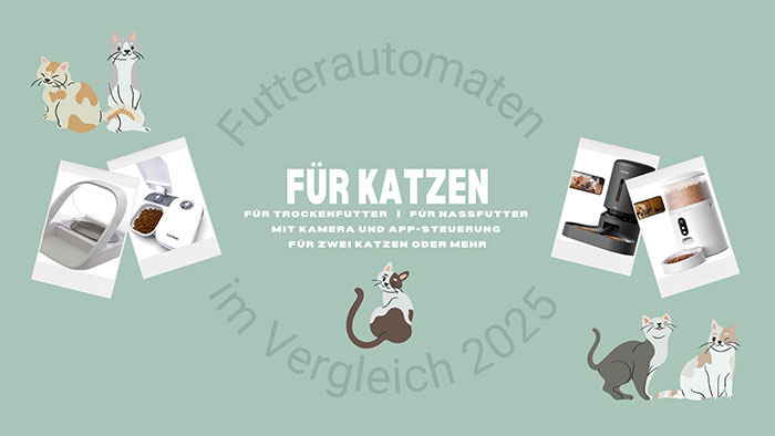 Futterautomaten für Katzen im Vergleich 2025