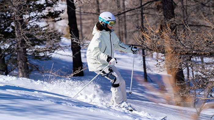 Dnsys-Z1-Skifahrer