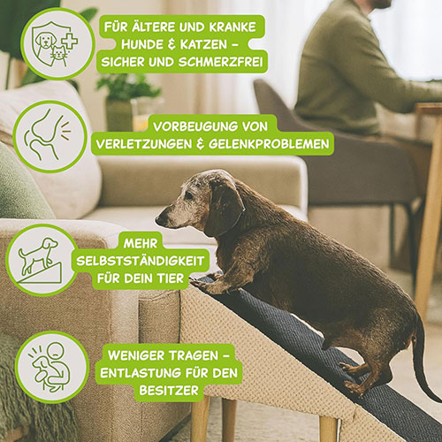 Gelenkschonend und sicher – wichtig für alte Hunde