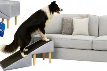 Outentin Hundetreppe klappbar – sicher & stilvoll