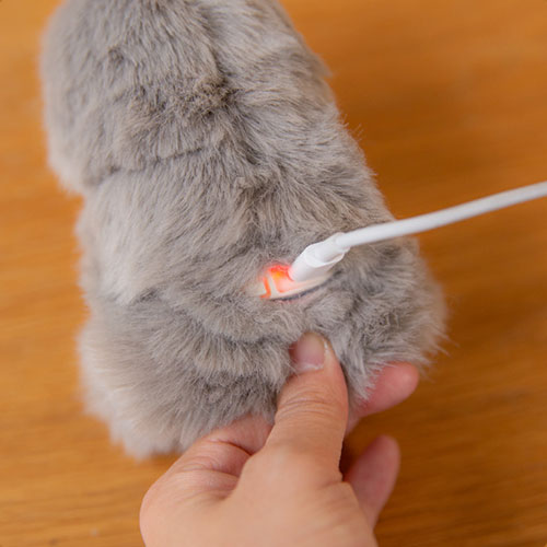 Sicherheit und Pflege des Mirumi Roboter Begleiters