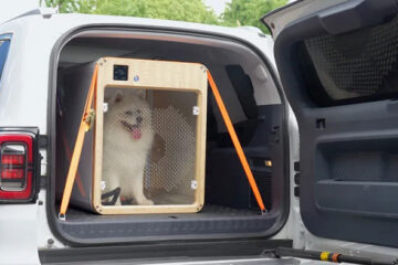 Comfort Pod: erste klimatisierte Haustierbox